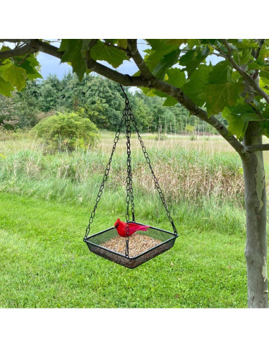 Bandeja Comedero Aves Colgante Evelots - Paquete de 4 - Metal