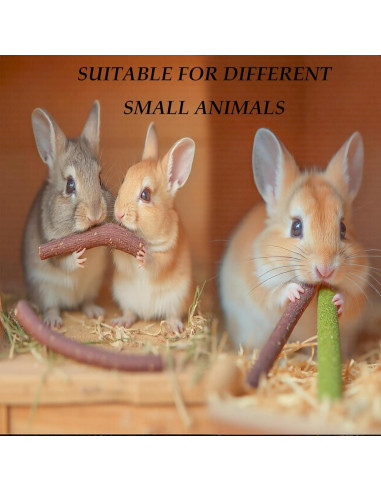 Juguetes para Masticar Conejos YTSKJ 142g - Salud Dental Natural