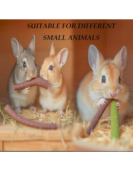 Juguetes para Masticar Conejos YTSKJ 142g - Salud Dental Natural