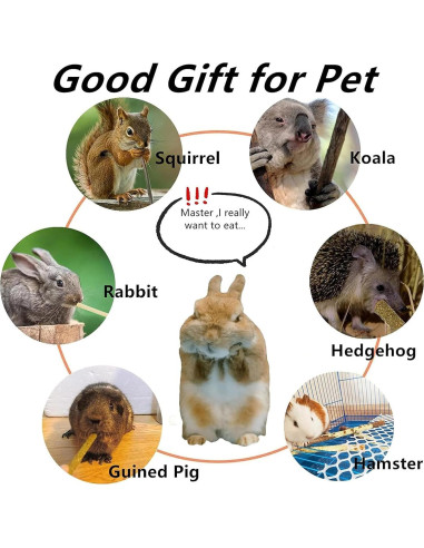 Juguetes para Masticar Conejos YTSKJ 142g - Salud Dental Natural