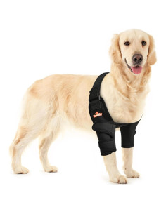 Protector de Codo NeoAlly para Perros XS - Soporte y Comodidad