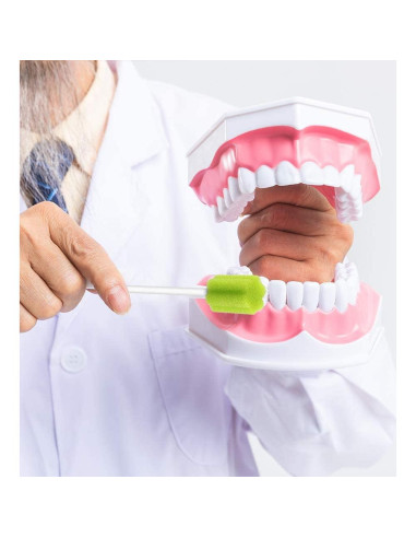 Hisopos Orales Desechables Wellgler - 100 Unidades Verdes