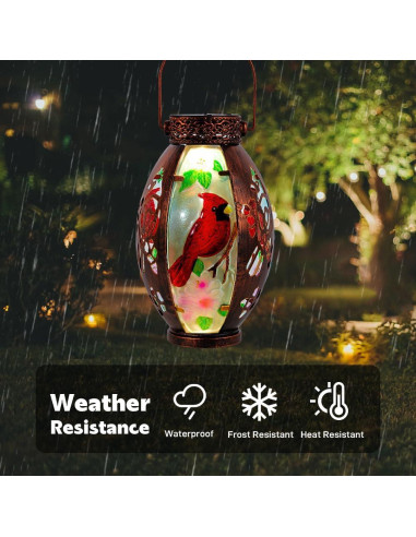 Linterna Solar Starsoul Cardenal 2 PC para Jardín Exterior