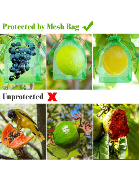 Bolsas de Protección para Frutas Morcheiong 60 Pcs 15x20 cm