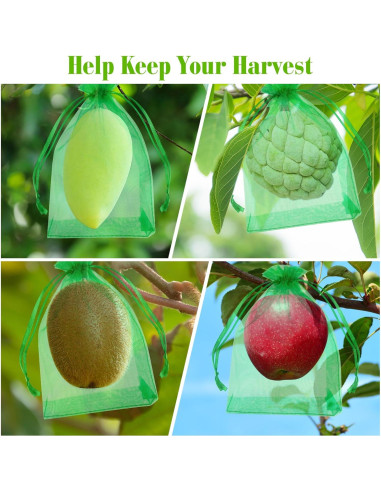 Bolsas de Protección para Frutas Morcheiong 60 Pcs 15x20 cm