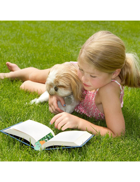 Marcadores de Libros Aromatizados Geyee - 144 Piezas, 24 Estilos