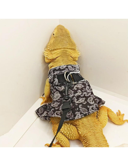 Conjunto Arnés y Correa FORZENA para Reptiles Negro M