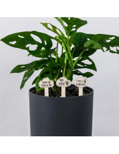 15 Etiquetas de Jardín de Madera HANABASS para Plantas 2