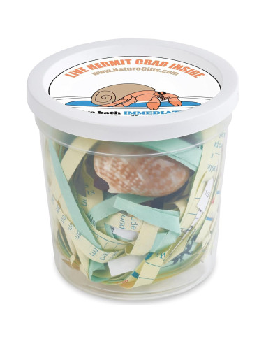 Cangrejo Ermitaño Vivo Nature Gift Store + Concha Extra