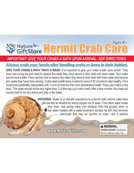 Cangrejo Ermitaño Vivo Nature Gift Store + Concha Extra