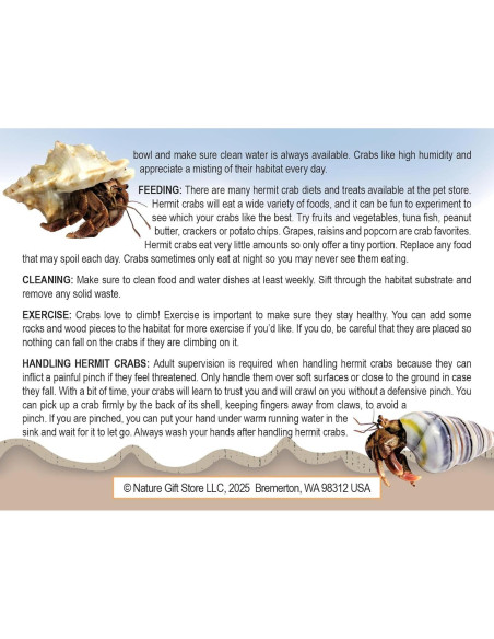 Cangrejo Ermitaño Vivo Nature Gift Store + Concha Extra