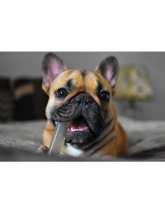 Hueso Nylabone Flexi Chew Juguete Masticar Perros X-Pequeño 2