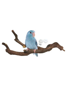 Percha Natural para Loro Kathson 22.86 cm Soporte Masticable