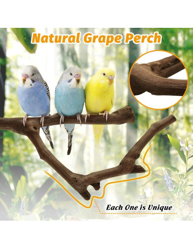 Percha Natural para Loro Kathson 22.86 cm Soporte Masticable