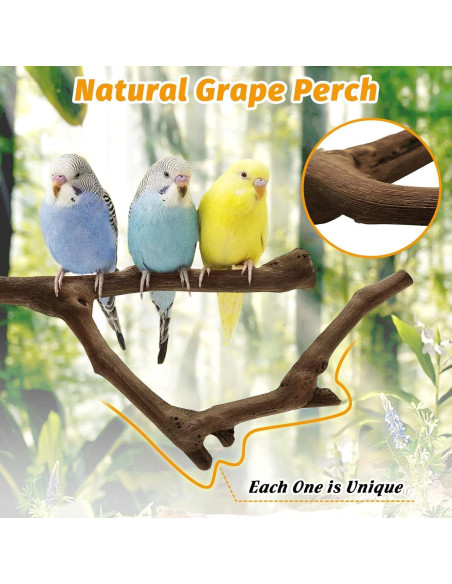 Percha Natural para Loro Kathson 22.86 cm Soporte Masticable