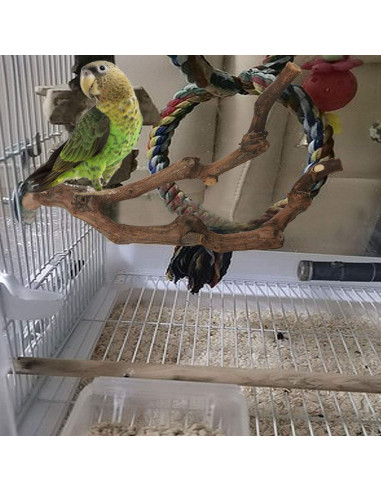 Percha Natural para Loro Kathson 22.86 cm Soporte Masticable