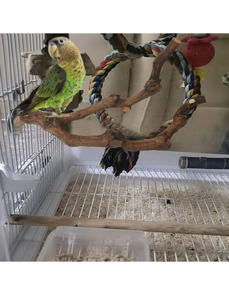 Percha Natural para Loro Kathson 22.86 cm Soporte Masticable