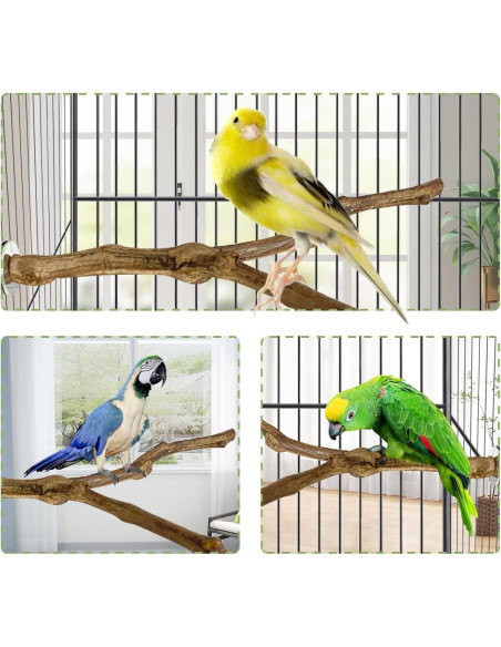 Percha Natural para Loro Kathson 22.86 cm Soporte Masticable