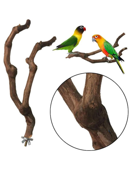 Percha Natural para Loro Kathson 22.86 cm Soporte Masticable