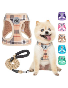 BEAUTYZOO Arnés y Correa para Perros Pequeños Beige XXS