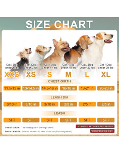 BEAUTYZOO Arnés y Correa para Perros Pequeños Beige XXS 2