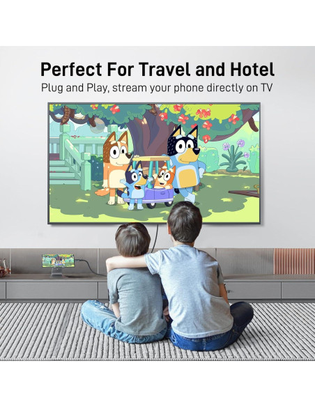 Cable USB C a DisplayPort 1m 4K@60Hz Thunderbolt 3/4/5