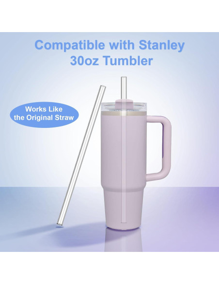 Popotes Reutilizables 26.4 cm para Taza Stanley 30 oz - 6 Piezas