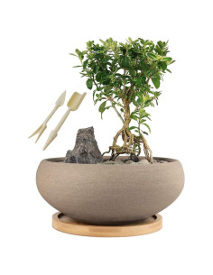 Maceta de Bonsai MUZHI Cerámica Redonda 20 cm con Bandeja