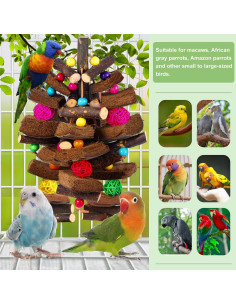 Juguete para Aves Kyouki de Cáscara de Coco Mediano 2