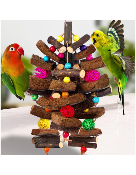 Juguete para Aves Kyouki de Cáscara de Coco Mediano