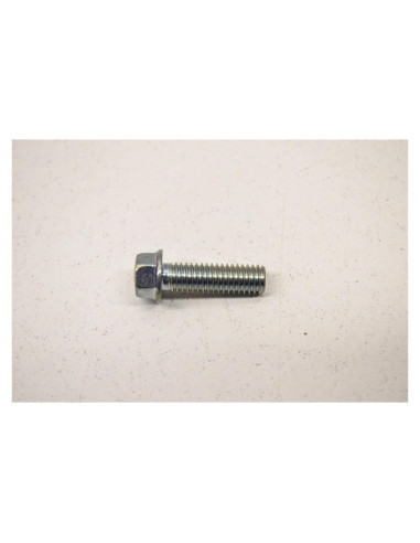 Tornillo de Brida Honda 96001-06020-00 6x20mm