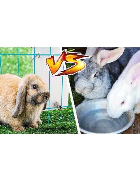 Bebedero para Conejos Cyrading 1L Acero Inoxidable Antifugas