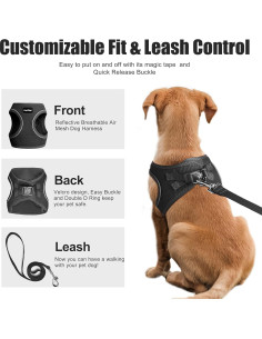 Arnés para Perros Pequeños PetiFine XXXS Negro - Malla Transpirable 2