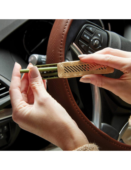 Kit de Difusor de Auto Thymes Frasier Fir - Ambientador Larga Duración