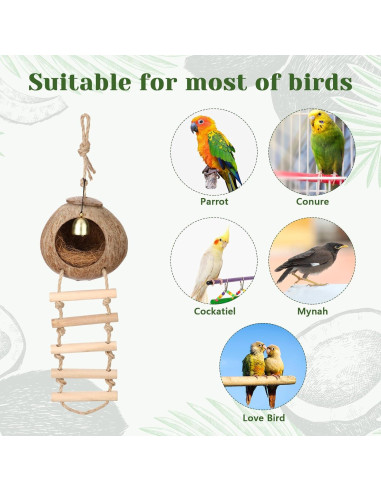Nido de Coco Natural para Aves Briwooody con Escalera y Campana