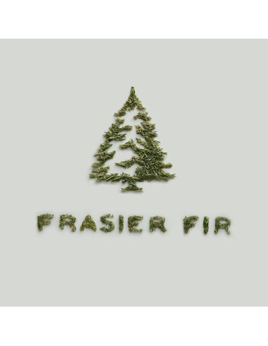 Kit de Difusor de Auto Thymes Frasier Fir - Ambientador Larga Duración