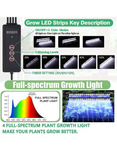 Bandeja de Germinación SZSJA con Luz de Crecimiento 80 Celdas 2