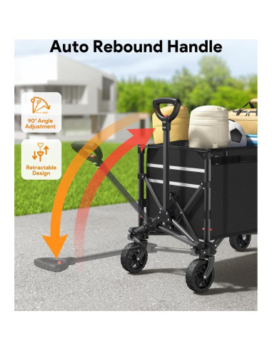 Carro Plegable Raynesys 100kg 120L para Compras y Playa