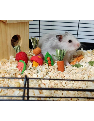 14 Piezas Juguetes Naturales para Conejos y Hámsters Finymk