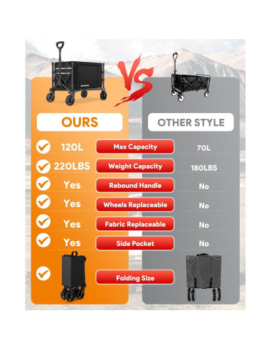 Carro Plegable Raynesys 100kg 120L para Compras y Playa