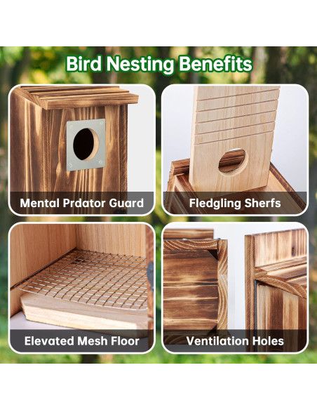 Casa para Aves UUMENHA Mediana con Protector de Metal 25cm Casa para Aves UUMENHA Mediana con Protector de Metal 25cm