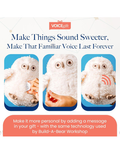 Grabador de Voz Mini-Me VoiceGift - Paquete de 2, 60 Segundos