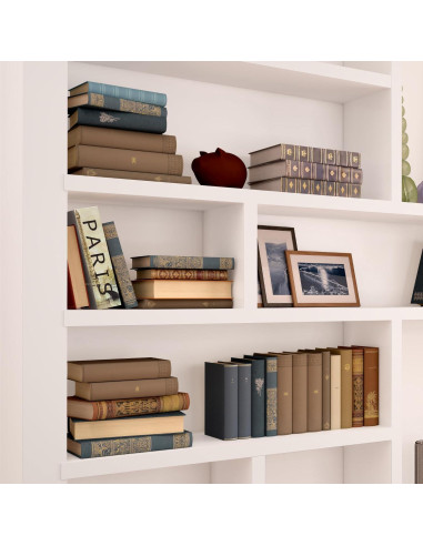 Caja Fuerte Oculta Barska Paris - Seguridad Portátil de Acero