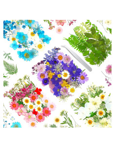170 Piezas Flores Secas Presionadas Vignee para Manualidades