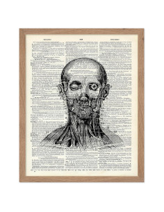 Póster de Cabeza Anatómica Beige Enmarcado - Póster Maestro 20x25 cm