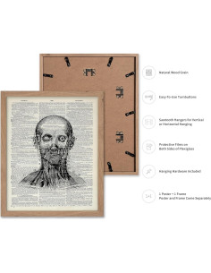 Póster de Cabeza Anatómica Beige Enmarcado - Póster Maestro 20x25 cm 2