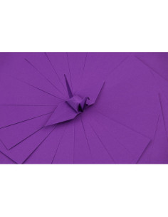 100 Hojas de Papel de Origami Doble Cara Origamipolly 7.62 cm 2