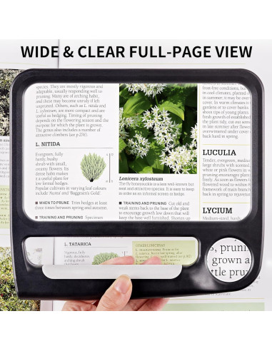 Lupa Recargable JARLINK 5X 10X con Luz LED Ajustable Negra