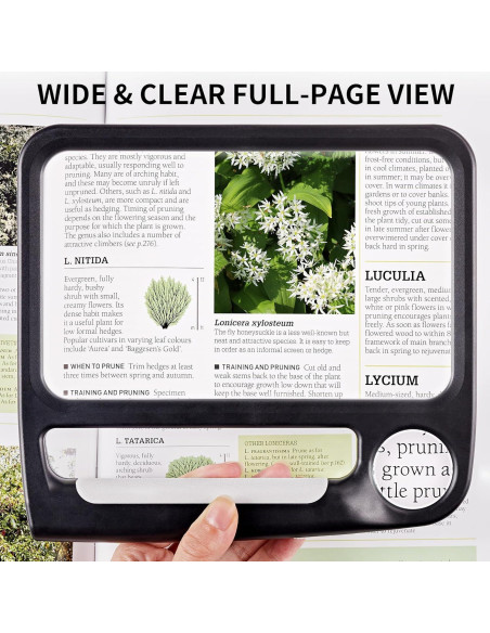 Lupa Recargable JARLINK 5X 10X con Luz LED Ajustable Negra