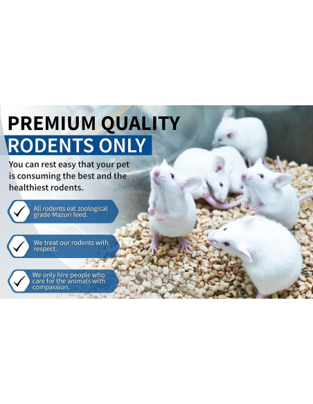Combo Congelado de 4 Ratas MiceDirect 15-23 cm para Serpientes